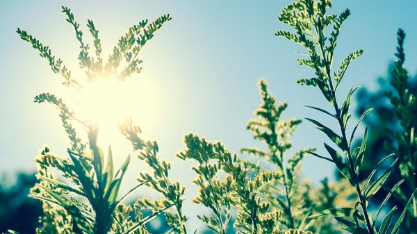 La météo du week-end de Pâque se précise (et ça s’annonce bien)