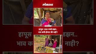 यंदा हापूसचं उत्पादन घटलं, भाव कमी होणार की नाही? Mango Production Reduces | SA5