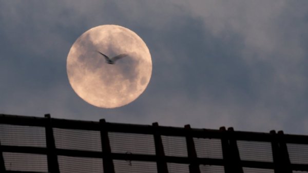 "Super Lune rose" : pourquoi la Lune ne sera pas si rose ce jeudi 2 avril, et où l’observer à Marseille