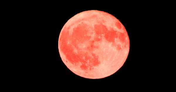 Astronomie. Pourquoi la lune rose, visible cette nuit, ne sera pas vraiment rose