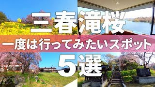 【福島 三春町】三春滝桜に訪れたら一緒に巡りたいスポット5選