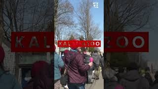 'No Kings' protests sweep Michigan in opposition to Trump's immigration policies and Iran war