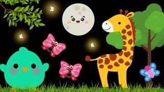Baby Sensory Video - Tummy Time - Sensory Videos for Babies - Visual Stimulation for Newborn #baby