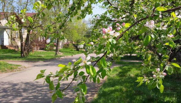 1 апреля в Ижевске обновился температурный рекорд // ИА Сусанин - проверенные новости Ижевска и Удмуртии, факты и описания событий.