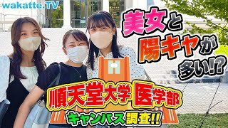 美女と陽キャが集まる!?順天堂大学医学部キャンパス調査！【wakatte TV】#773