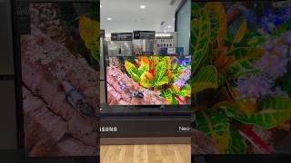 Samsung Finally launched new Oled tv 2025 model s90f 65 inch tv must watch before buying #trending