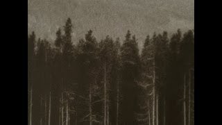 Neroche - Earth Druid