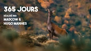 365 JOURS DANS LE CANTAL