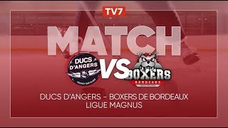 [REPLAY] Duc d'Angers - Boxers de Bordeaux | Match 20ème Journée Ligue Magnus