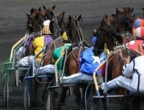La dernière minute de Zone-Turf pour le Quinté du jour : le n° 5 Jack des Ass - Trot