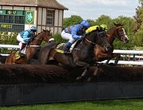 La dernière minute de Zone-Turf pour le Quinté du jour : le n° 8 Miss Altea Blue - Obstacle