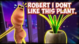 Marcus does NOT like this Plant