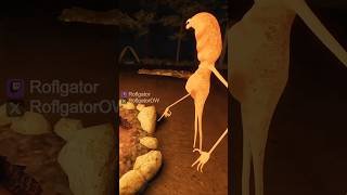 Marcus doesn't like this rock #roflgator #vrchat #vrchatmemes #funny #marcus