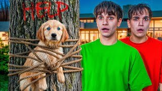 SOMEONE LEFT A DOG IN OUR BACKYARD 