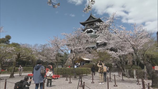 愛知・犬山城 3月から入場料2倍も… 来場者は増加 混雑緩和のためHPで駐車場の空き状況更新（CBCテレビ） - Yahoo!ニュース