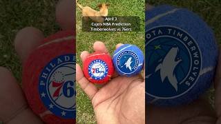 Cujo’s NBA Picks | Minnesota Timberwolves vs Philadelphia 76ers 🏀 04-03-2026 #CujoCatches