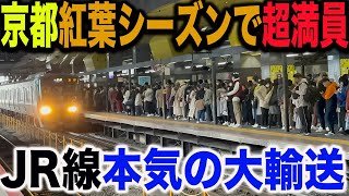 【混みすぎて特急が臨時停車！？】紅葉シーズン&インバウンドで大混雑しているJR嵯峨野線の本気が凄すぎた！！臨時列車を大増発！！！