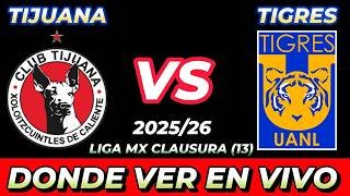 TIJUANA VS TIGRES DÓNDE VER EN VIVO FECHA HORA HORARIO CUANDO JUEGAN EN VARIOS PAÍSES