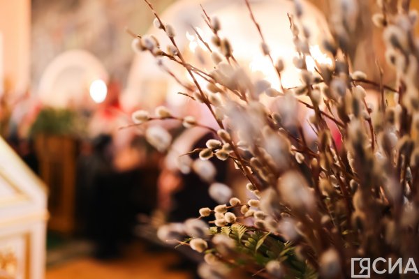 Вербное воскресенье — 2026: главные запреты и приметы в этот день — ЯСИА