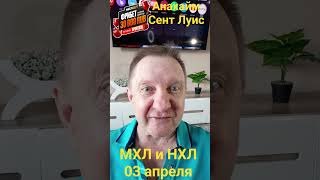 Анахайм Сент Луис / Омские Ястребы Сибирские Снайперы / Прогноз 3 апреля #нхлпрогноз #спортбет #мхл