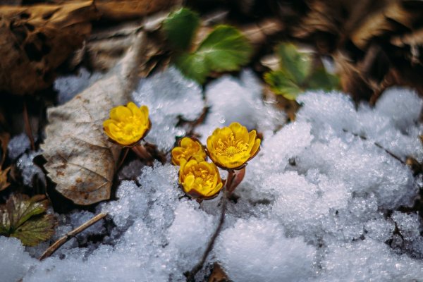 Тишину, покой и внутреннее очищение принесет неделя с 6 по 12 апреля всем Знакам Зодиака - EAOMedia.ru