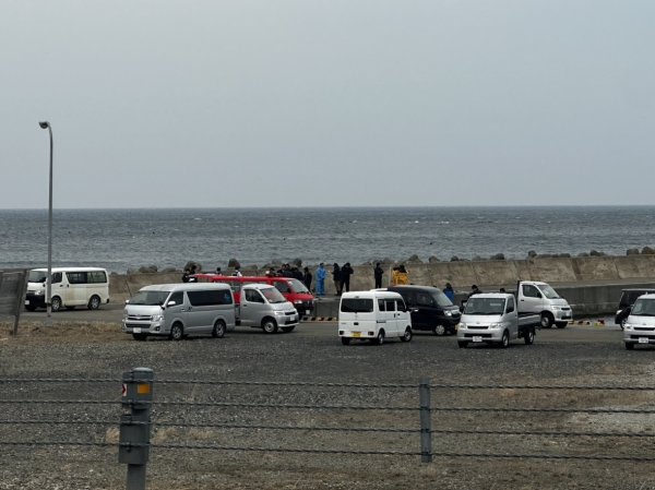 【速報】「トドウォッチング」のダイビング中に遭難か_客やダイバーら計9人が行方不明_発見されたという情報も…北海道稚内市の無人島・弁天島付近の海で捜索続く（北海道ニュースUHB） - Yahoo!ニュース