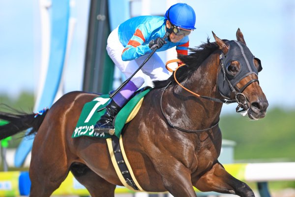 【今週の注目レース】ヤマニンウルスが鞍上・武豊騎手で復帰　8カ月ぶり、59.5kg克服なるか - スポーツナビ