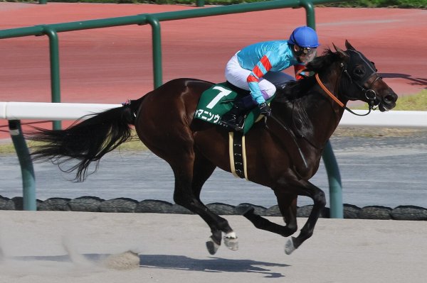 ヤマニンウルス