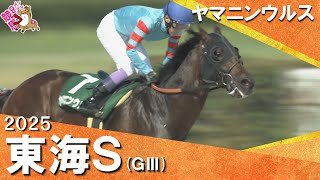 【ヤマニンウルス 武豊騎手に導かれ約1年ぶりの復活V！】2025年 東海ステークス(ＧⅢ) 【カンテレ公式】