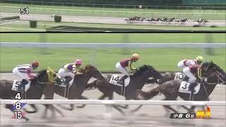 2022/08/20　ヤマニンウルス　新馬戦