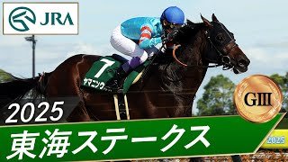 2025年 東海ステークス（GⅢ） | ヤマニンウルス | JRA公式