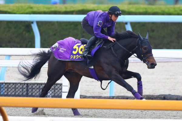 【大阪杯】「今年が楽しみな初戦になった」「あとはGⅠ」騎手がタイトル獲得を意識した2頭（東スポ競馬）｜ｄメニューニュース
