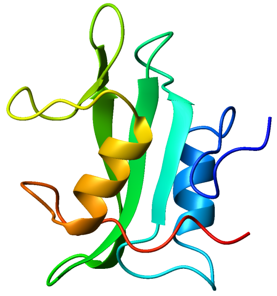 Tyrosin-protein_kinase_Lck