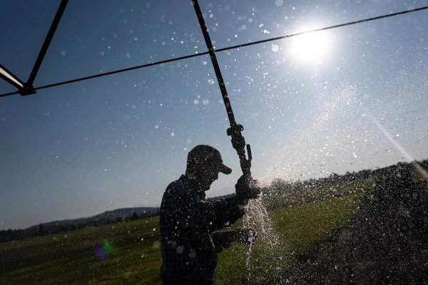 3 Oregon counties at risk of ‘natural and economic disaster conditions,’ governor warns in drought order