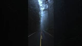 Foggy mornings in Oregon #oregon #nature #pacificnorthwest #pnw #forest #outdoors #hiking #core