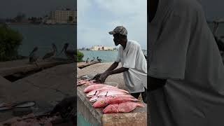 Belize Is Crazy! Must Visit Destination!