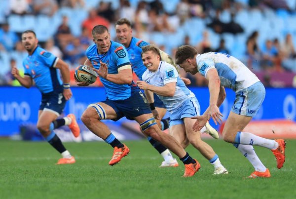 Bulls coach Ackermann: Cameron Hanekom is ideal No 8 to unleash on Glasgow Warriors