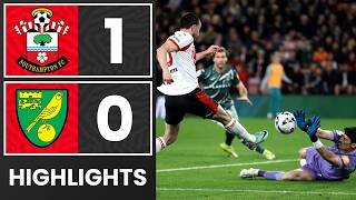 HIGHLIGHTS: Southampton 1-0 Norwich City | Championship