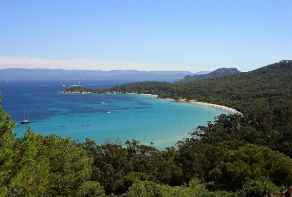 Île_de_Porquerolles