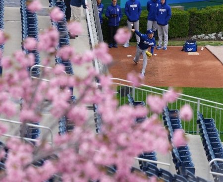 ドジャース・ロバーツ監督　佐々木朗希に“注文”「もっとイニング投げて」（スポニチアネックス）｜ｄメニューニュース