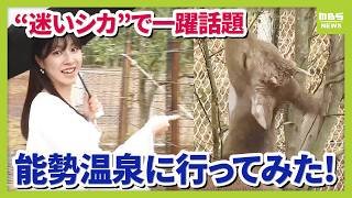 シカ引き取りで一躍話題に！「能勢温泉」とは？　海・山の幸豊かな会席料理や源泉かけ流し温泉も　シカの一般公開は「今後検討」（2026年4月1日）
