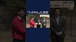 “迷いシカ”名前は「シカやん」に決定　「能勢温泉」で命名式　大阪府・吉村知事らも参加 #shorts