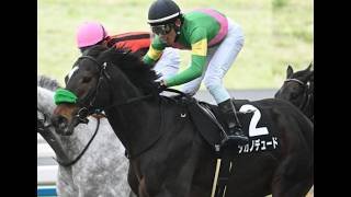 20260104 競馬ﾚｰｽﾄﾋﾟｯｸ　15【善戦卒業!OPへ!】'26寿S T2000 3勝C タガノデュード