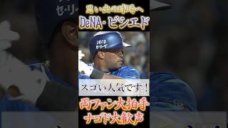 バンテリンドームで代打ビシエド、引退試合のような大盛り上がりw【プロ野球】【横浜DeNAベイスターズ】【中日ドラゴンズ】