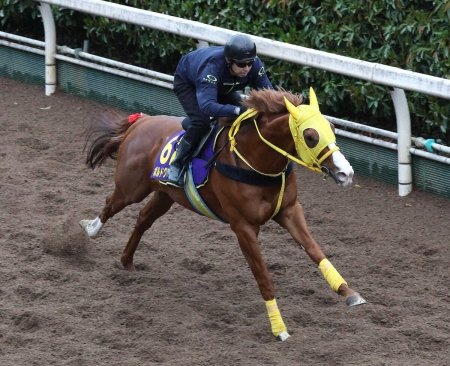 【大阪杯】（10）ボルドグフーシュ　6枠10番に納得　松山「流れに乗っていきたい」（スポニチアネックス）｜ｄメニューニュース