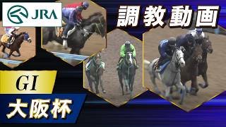 【調教動画】2026年 大阪杯｜JRA公式
