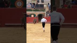 #Bullfighting#SpanishBullfight#Matador#SpanishCulture#SpainTradition