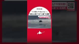 【ヒグマ速報】『シカ食ってるじゃん！』体長2メートル超のクマが“小鹿"を襲撃＿岸辺に響き渡るクマの唸り声とシカの鳴き声…緊迫の『捕食シーン』を撮影〈北海道別海町〉