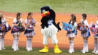 つば九郎　Passionとパチリして脇フキフキ！？　2026/4/5 vs中日