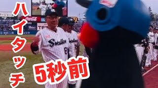 つば九郎🐧すわほ〜勝利のハイタッチ🙌　2026/04/05